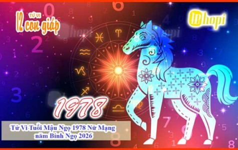 Tử Vi Tuổi Mậu Ngọ 1978 Nữ Mạng năm Bính Ngọ 2026