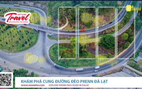 Khám Phá Cung Đường Đèo Prenn Đà Lạt