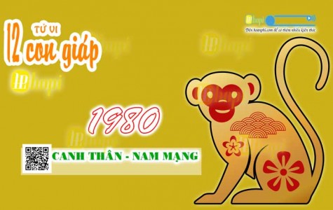 Tử Vi Tuổi Canh Thân 1980 Nam Mạng năm Ất Tỵ 2025