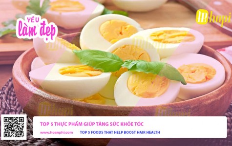 Top 5 Thực Phẩm Giúp Tăng Sức Khỏe Tóc