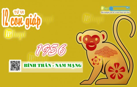 Tử Vi Tuổi Bính Thân 1956 Nam Mạng năm Ất Tỵ 2025