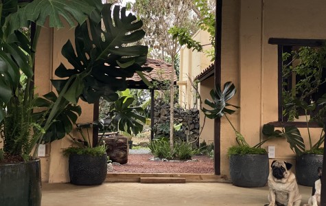 Quán Cafe Bản Lao Xa tại Bảo Lộc Lâm Đồng