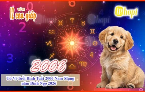 Tử Vi Tuổi Bính Tuất 2006 Nam Mạng năm Bính Ngọ 2026