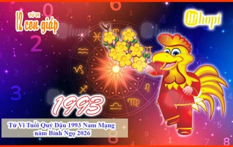 Tử Vi Tuổi Quý Dậu 1993 Nam Mạng năm Bính Ngọ 2026