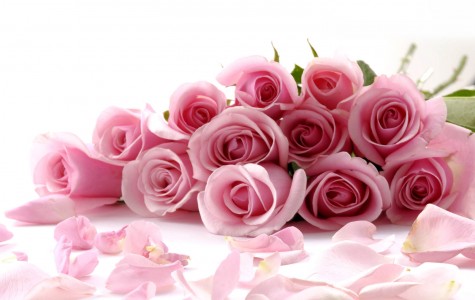 Những Công Dụng Tuyệt Vời Của Cánh Hoa Hồng Trong Làm Đẹp 