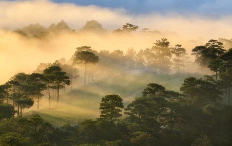 Mùa Đông Đến Rồi Đấy, Bạn Đã Biết Cách Chăm Sóc Da...