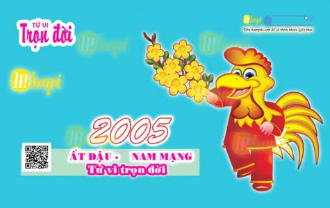 Tử Vi Trọn Đời Tuổi Ất Dậu Nam Mạng Năm 2005