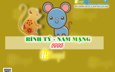 Tử vi tuổi Bính Tý 1996 nam mạng năm Ất Tỵ 2025
