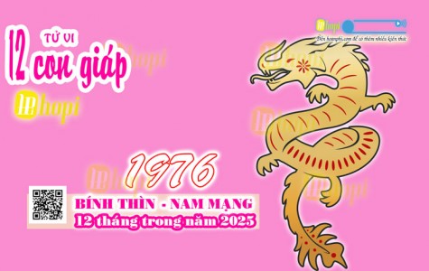 Tử Vi 12 Tháng Tuổi Bính Thìn 1976 Nam Mạng Năm Ất Tỵ 2025 