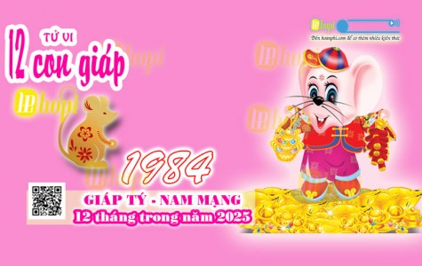 Tử Vi 12 Tháng Tuổi Giáp Tý 1984 Nam Mạng Năm Ất Tỵ 2025 