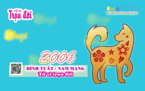 Tử Vi Trọn Đời Tuổi Bính Tuất Nam Mạng Sinh Năm 2006