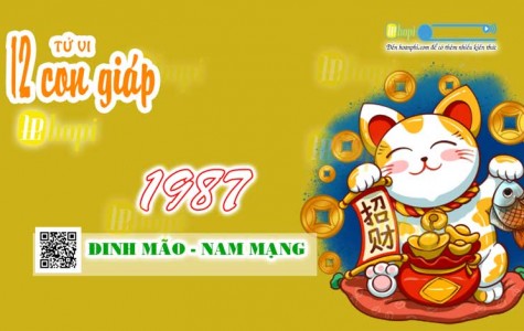 Tử Vi Tuổi Đinh Mão 1987 Nam Mạng năm Ất Tỵ 2025