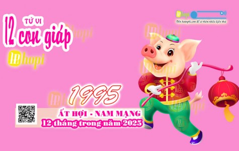 Tử Vi 12 Tháng Tuổi Ất Hợi 1995 Nam Mạng Năm Ất Tỵ 2025 