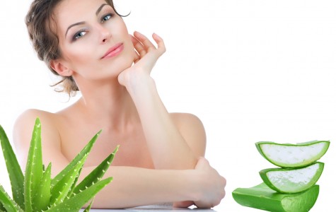 Nha Đam Có Rất Nhiều Công dụng Trong Làm Đẹp Đấy! Bạn...