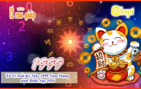 Tử Vi Tuổi Kỷ Mão 1999 Nam Mạng năm Bính Ngọ 2026