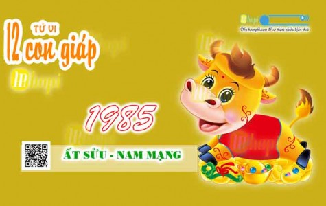 Tử Vi Tuổi Ất Sửu 1985 Nam Mạng năm Ất Tỵ 2025