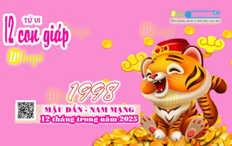 Tử Vi 12 Tháng Tuổi Mậu Dần 1998 Nam Mạng Năm Ất Tỵ 2025 