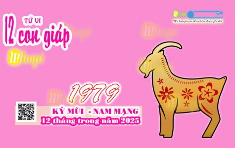 Tử Vi 12 Tháng Tuổi Kỷ Mùi 1979 Nam Mạng Năm Ất Tỵ 2025 