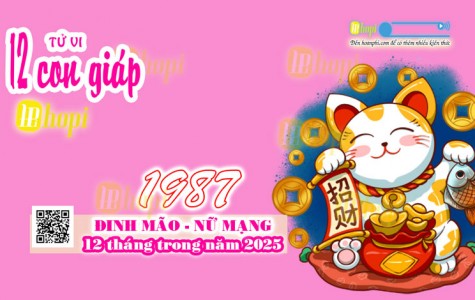Tử Vi 12 Tháng Tuổi Đinh Mão 1987 Nữ Mạng Năm Ất Tỵ 2025