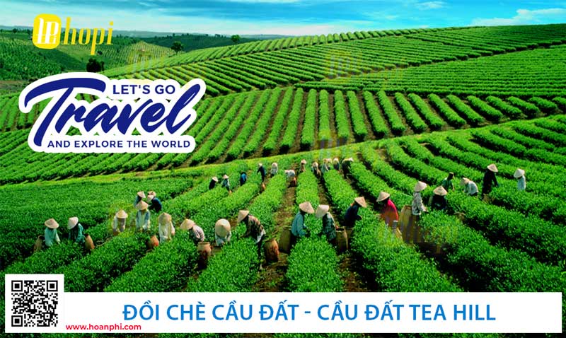 Đồi Chè Cầu Đất