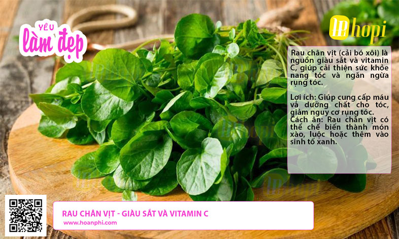 Rau chân vịt - Giàu sắt và vitamin C