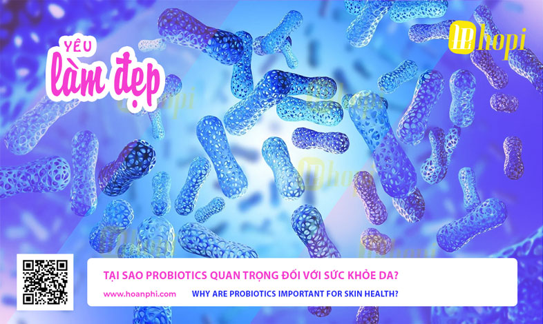 Tại Sao Probiotics Quan Trọng Đối Với Sức Khỏe Da?