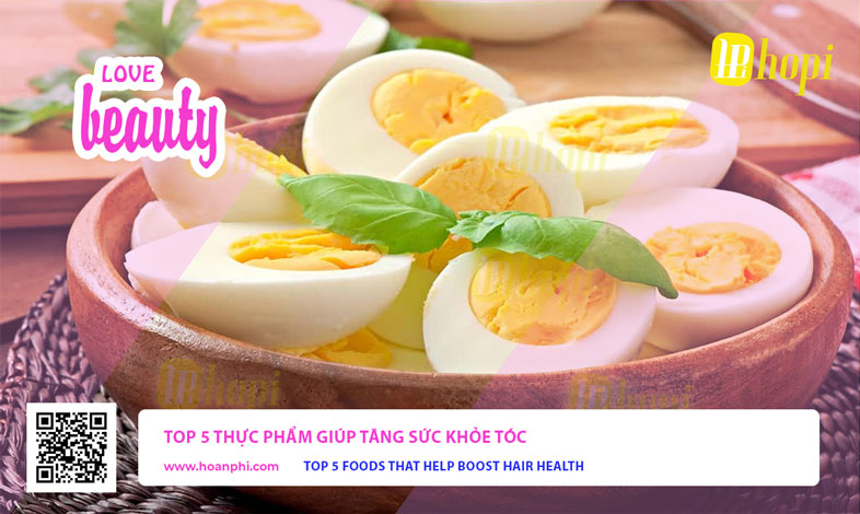 Top 5 Foods That Help Boost Hair Health