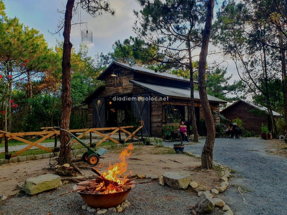 Review Quán Cafe Nhà Gỗ Trong Rừng Bảo Lộc Lâm Đồng