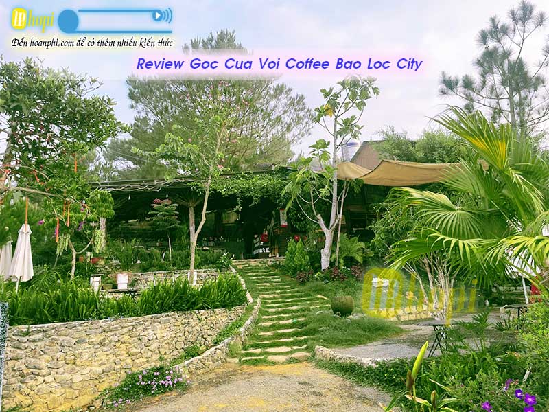 Review Quán Góc Của Vội Bảo Lộc Lâm Đồng