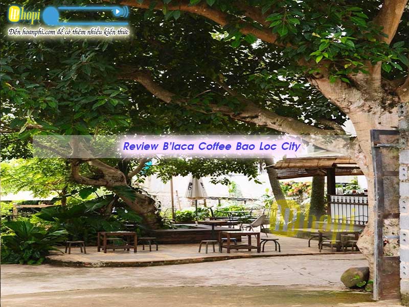 Review of B'laca Restaurant Bao Loc Lam Dong Viet Nam