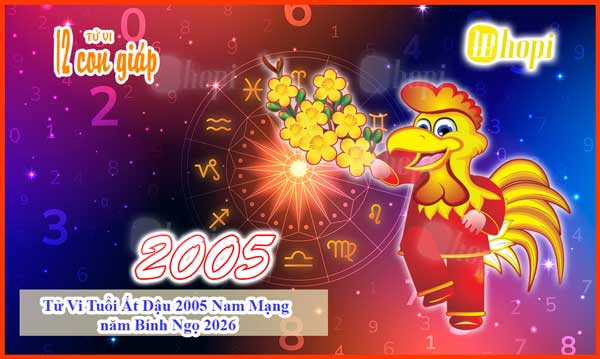 Tử vi tuổi Ất Dậu 2005 nam mạng năm 2026