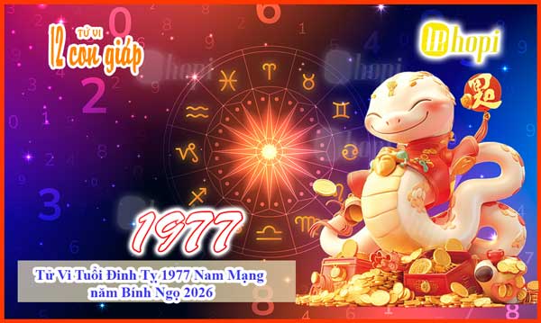 Tử vi tuổi Đinh Tỵ 1977 nam mạng năm 2026 Bính Ngọ