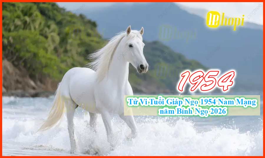 Tử Vi Tuổi Giáp Ngọ 1954 Nam Mạng Năm Bính Ngọ 2026