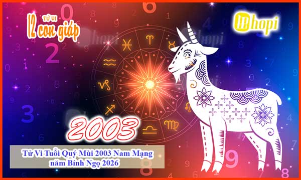 Horoscope 2026 for Male born in 2003 Quy Mui